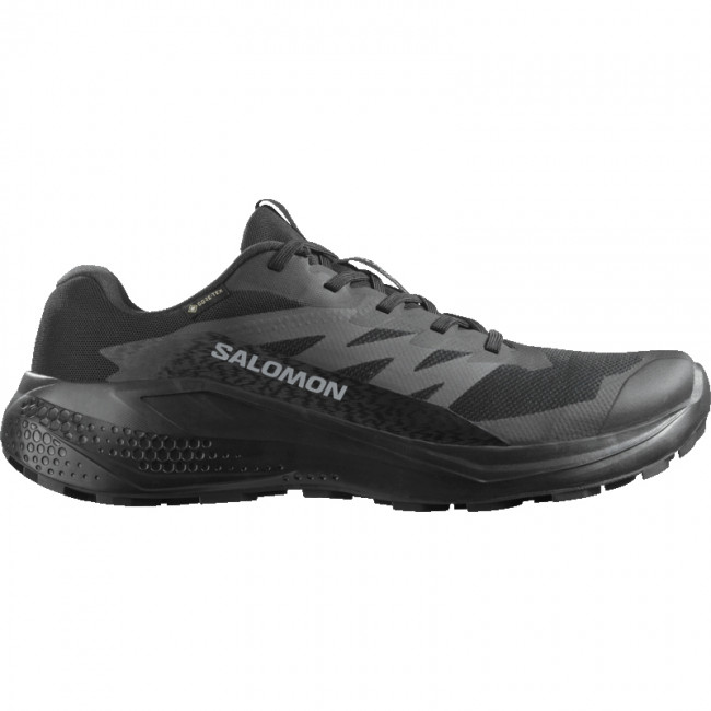 Salomon Alphaglide GTX, juoksukengät, miesten, musta